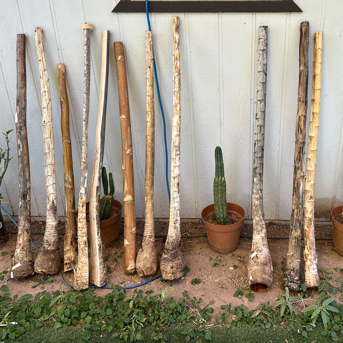 CUSTOM DIDGERIDOO